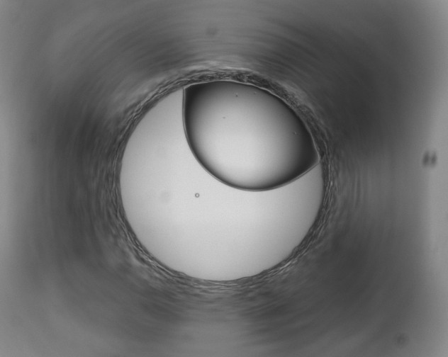 X0000112511110200908171041