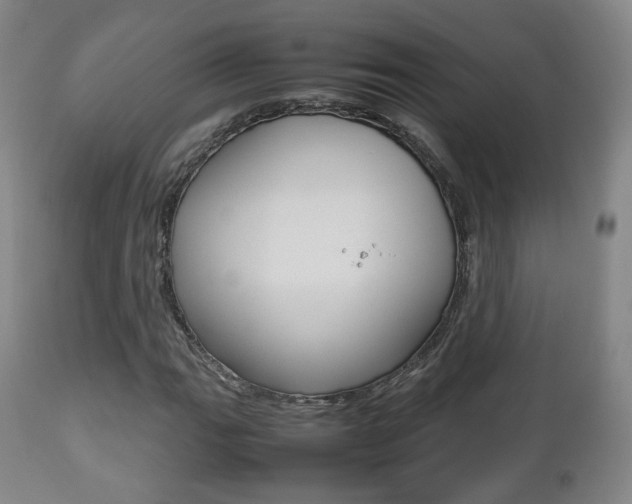 X0000112511111200908171041