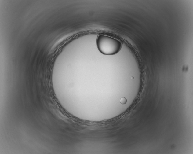 X0000112511112200908171041
