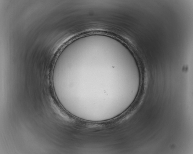 X0000112511113200908171041