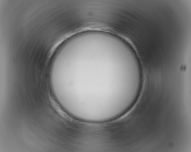 X0000112511114200908171041