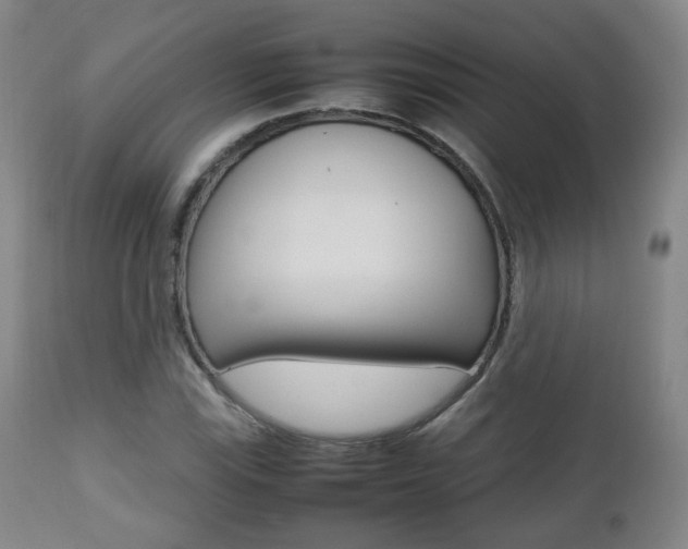 X0000112511115200908171041