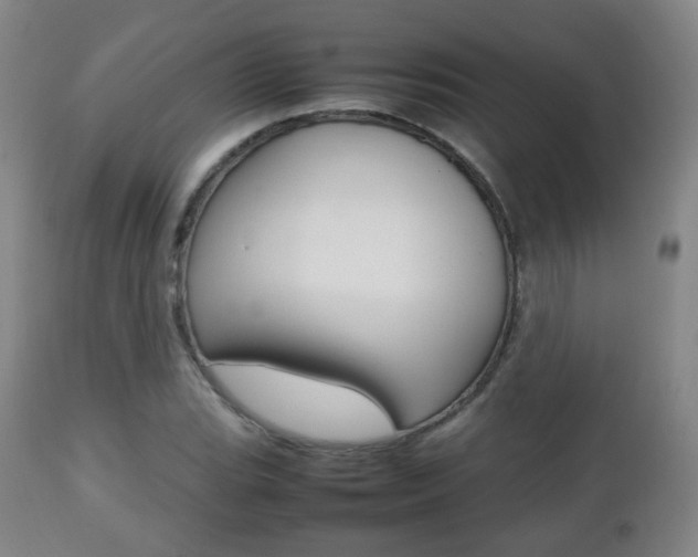 X0000112511119200908171041