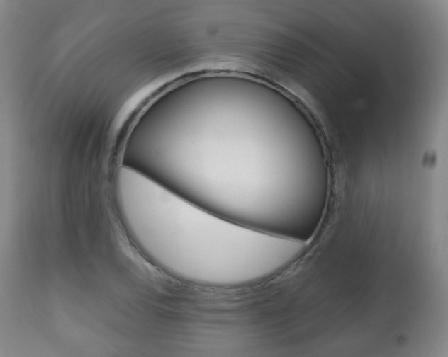 X0000112511120200908171041