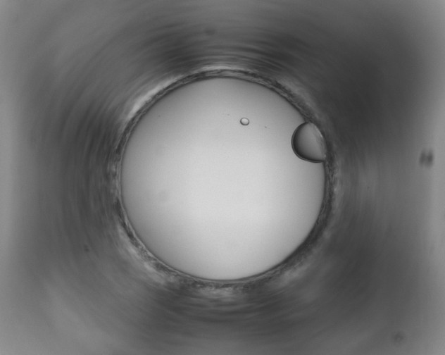 X0000112511121200908171041