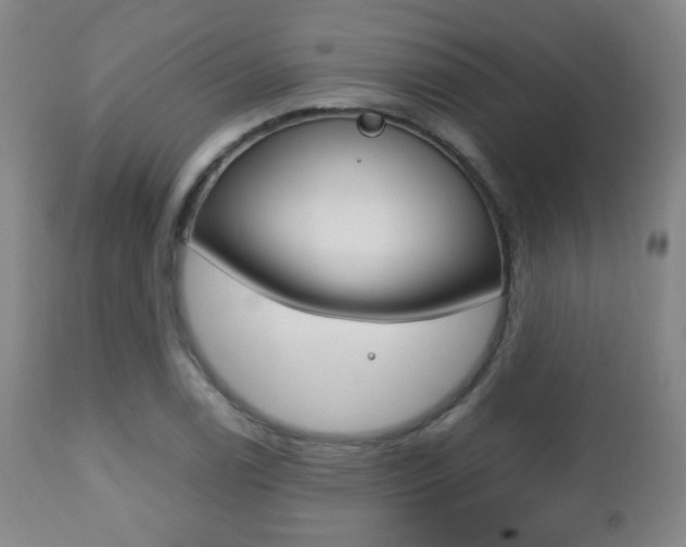 X0000112511122200908171041