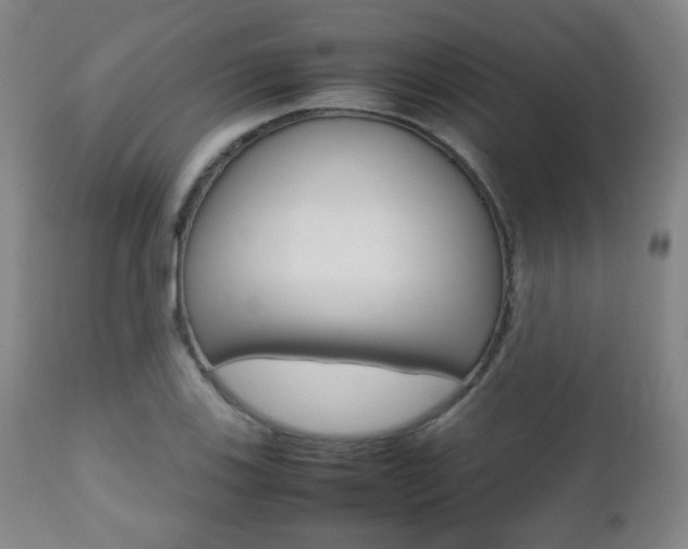 X0000112511123200908171041