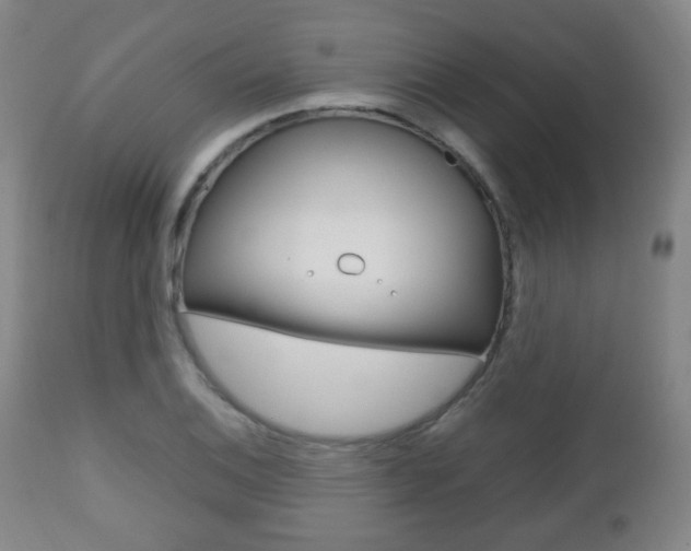 X0000112511124200908171041