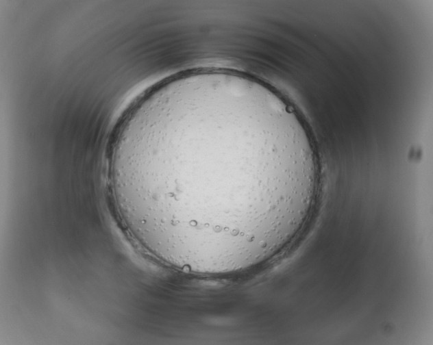 X0000112511125200908171041