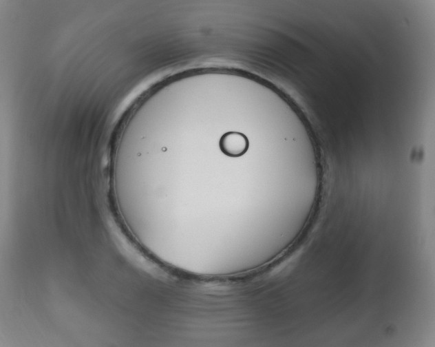 X0000112511126200908171041
