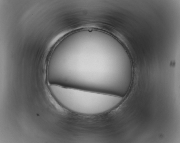 X0000112511127200908171041