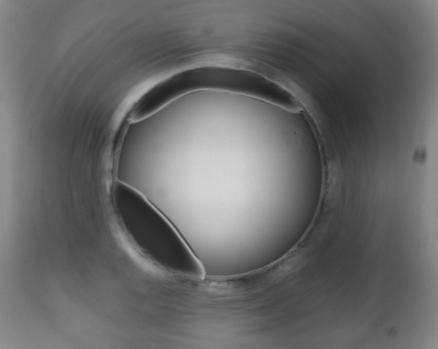 X0000112511128200908171041
