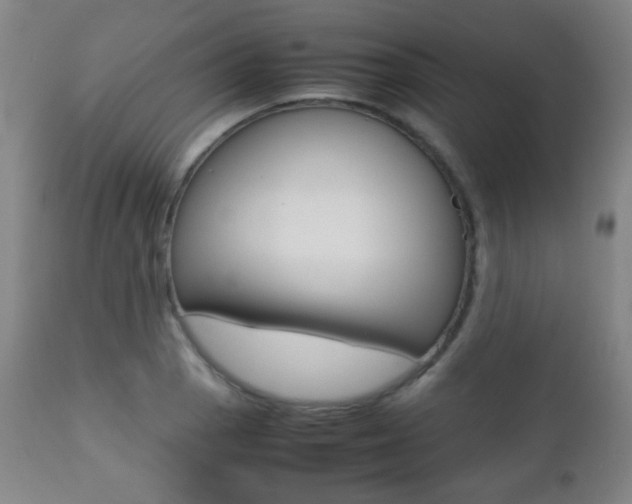 X0000112511129200908171041