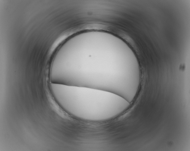 X0000112511130200908171041