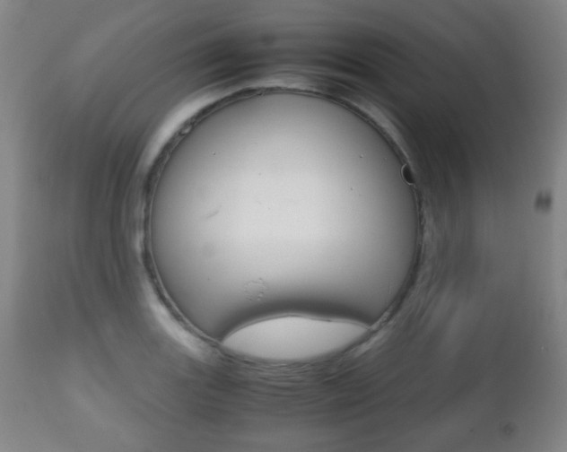 X0000112511131200908171041
