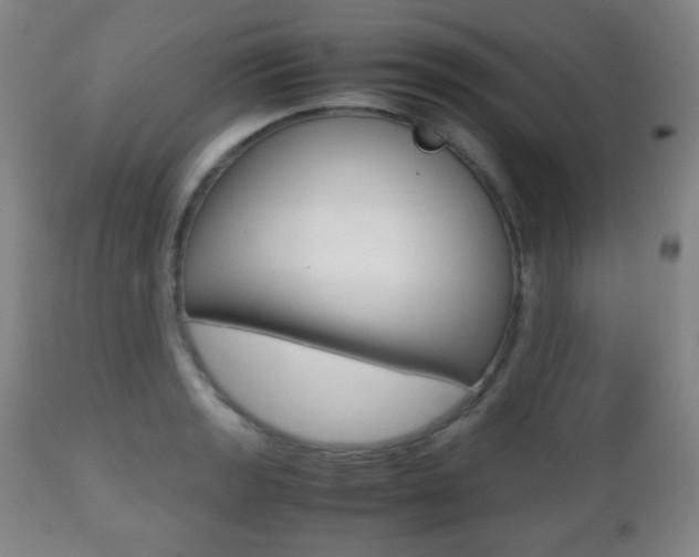 X0000112511133200908171041