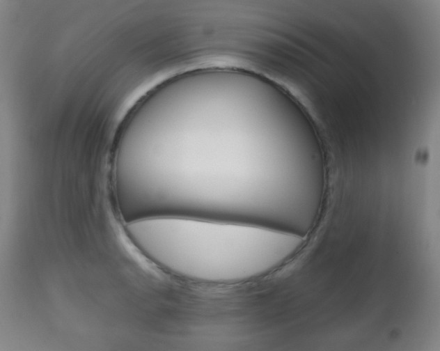 X0000112511134200908171041