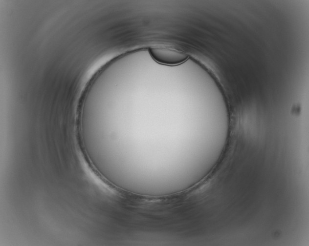 X0000112511135200908171041