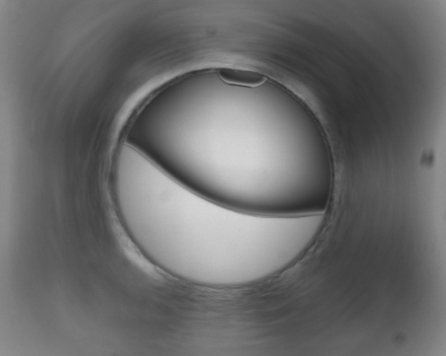 X0000112511136200908171041