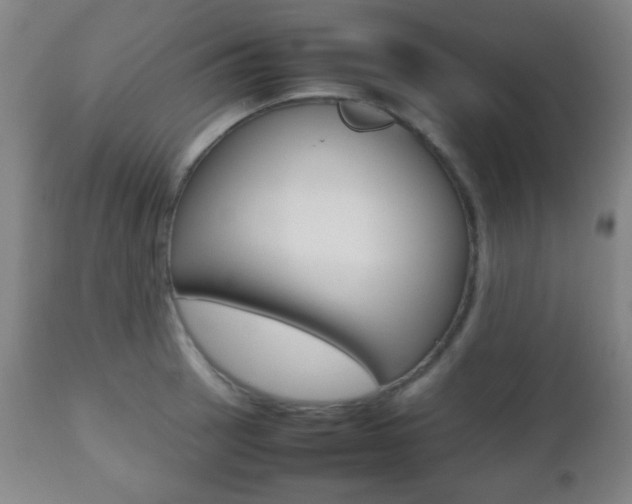X0000112511137200908171041