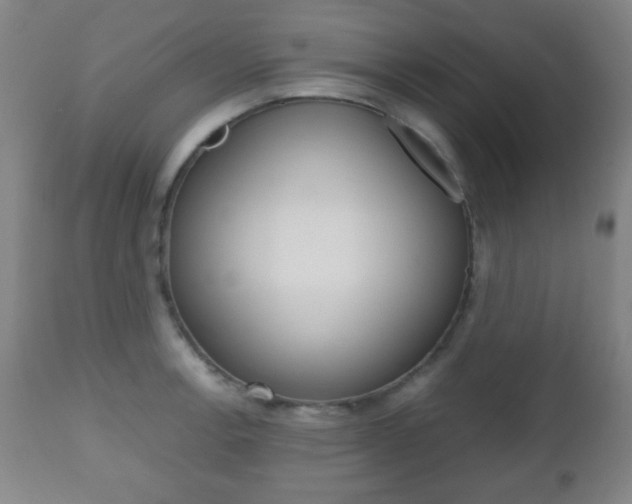 X0000112511138200908171041