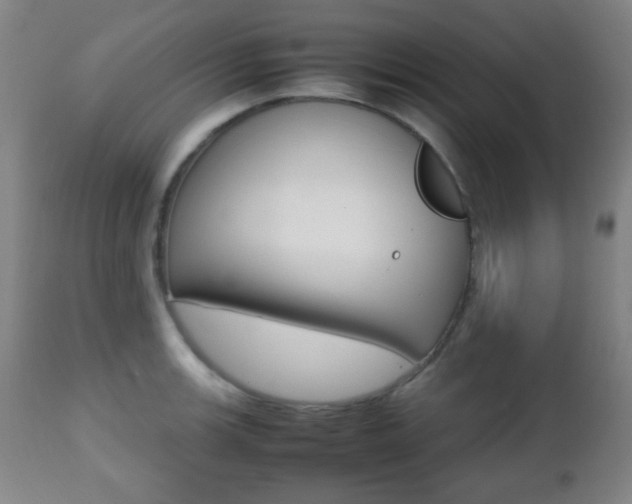 X0000112511139200908171041