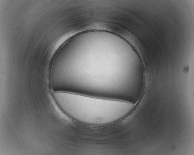 X0000112511141200908171041