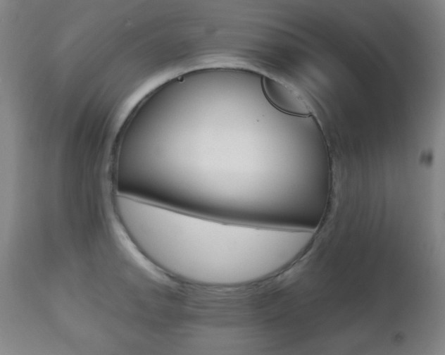 X0000112511142200908171041