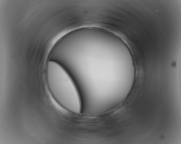 X0000112511143200908171042