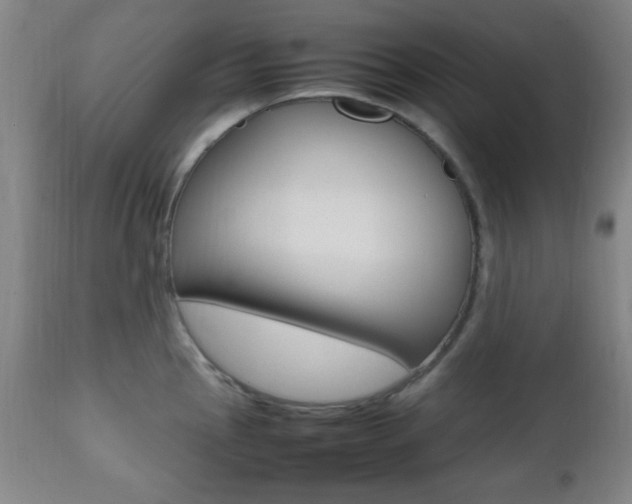 X0000112511145200908171042