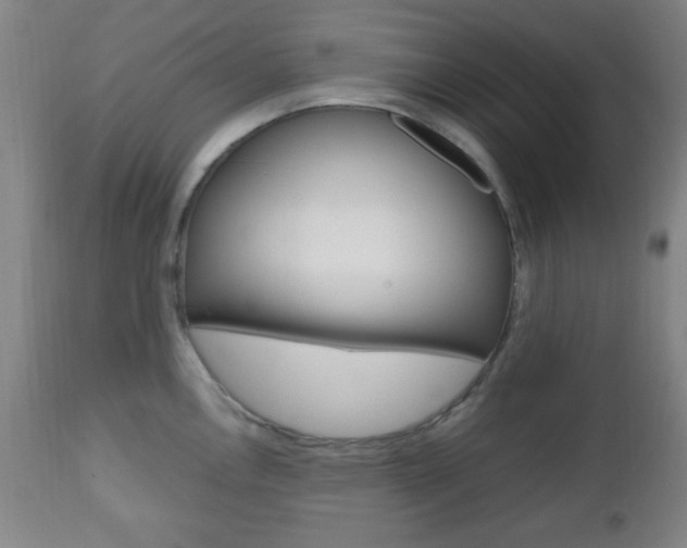 X0000112511146200908171042
