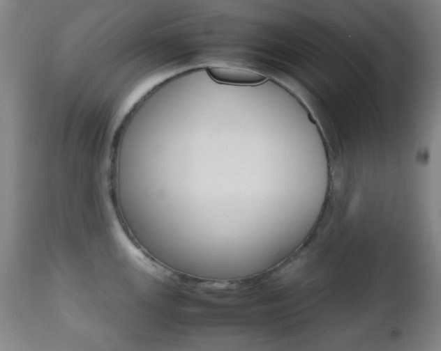 X0000112511147200908171042