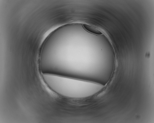 X0000112511149200908171042