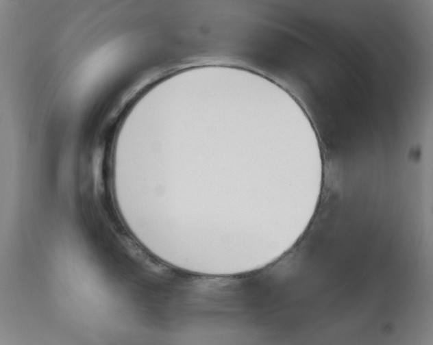 X0000112511150200908171042