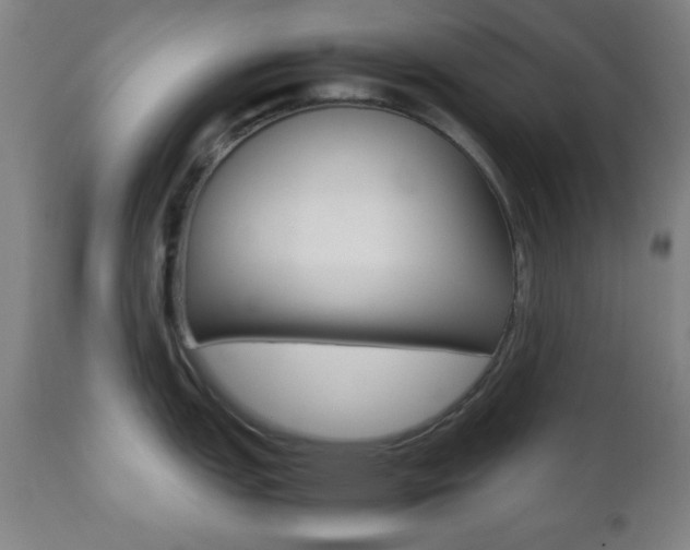 X0000112511151200908171042