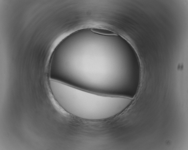 X0000112511152200908171042
