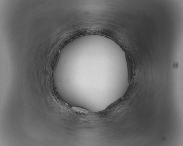 X0000112511153200908171041