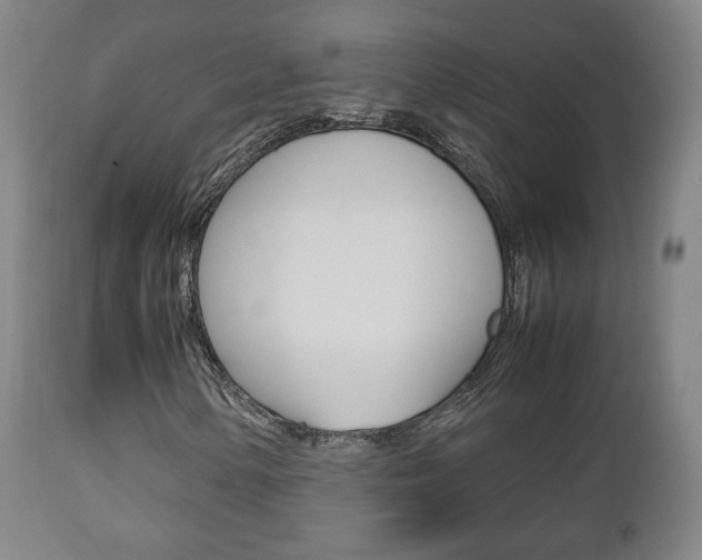 X0000112511154200908171041