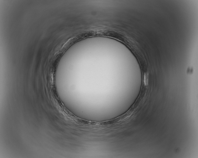 X0000112511155200908171041