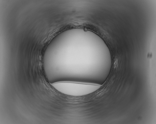 X0000112511156200908171041