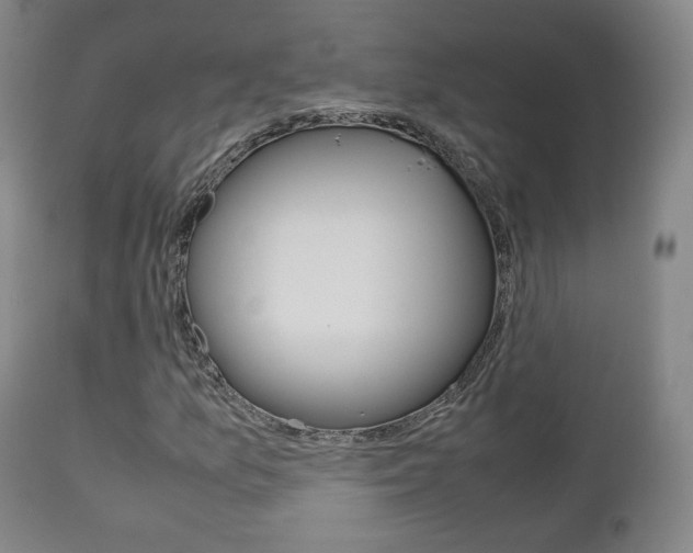 X0000112511157200908171041