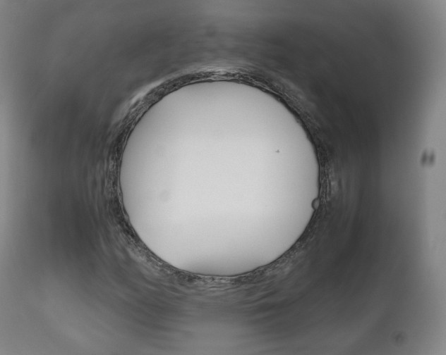X0000112511158200908171041