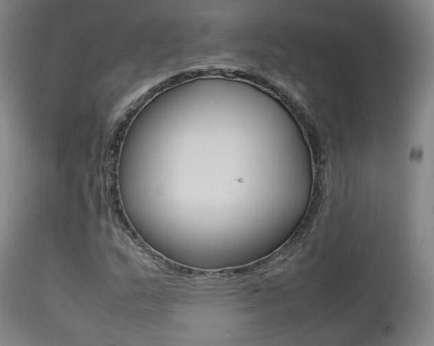 X0000112511159200908171041