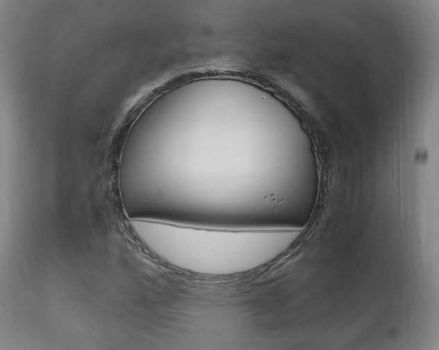 X0000112511160200908171041