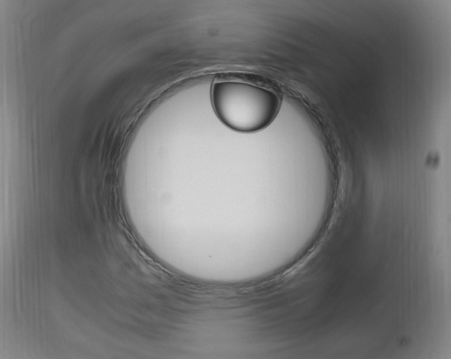 X0000112511161200908171041