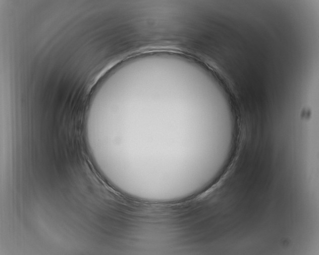X0000112511162200908171041
