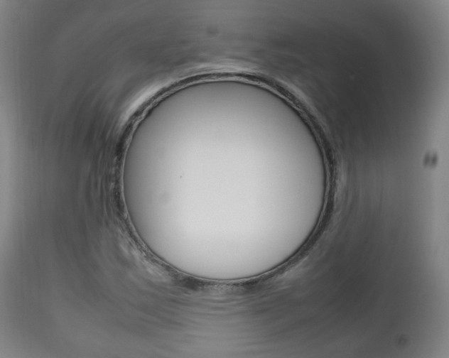 X0000112511163200908171041