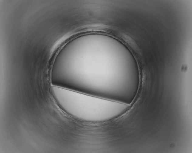 X0000112511164200908171041