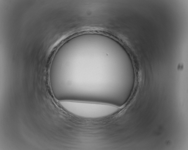X0000112511165200908171041