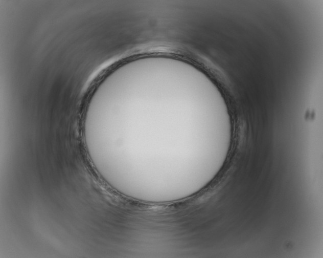 X0000112511166200908171041